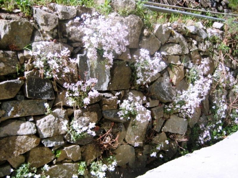 Willa Flora'S House Spilia Zewnętrze zdjęcie